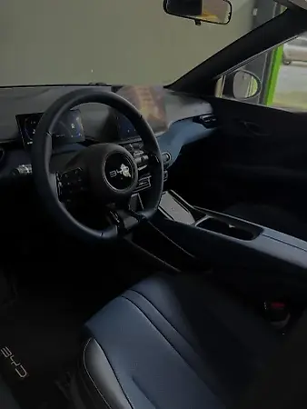 BYD Dolphin Mini - Imagem 12