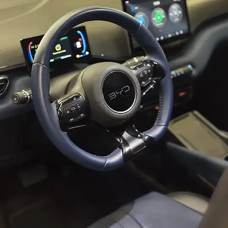 BYD Dolphin Mini - Imagem 8