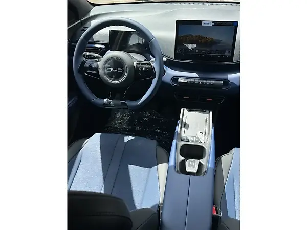 BYD Dolphin Mini - Imagem 12
