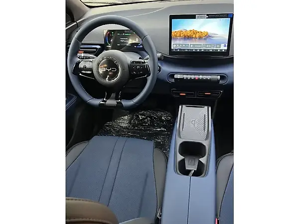 BYD Dolphin Mini - Imagem 10