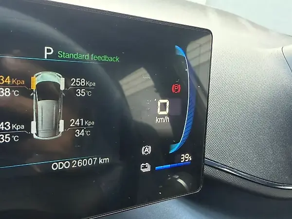 BYD Dolphin Mini - Imagem 13