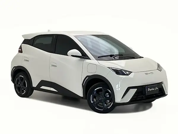 BYD Dolphin Mini - Imagem 1