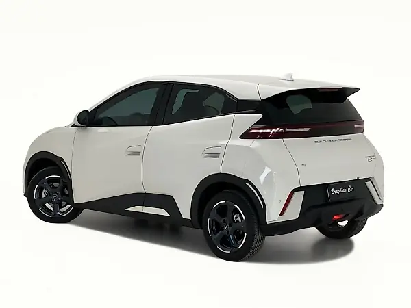 BYD Dolphin Mini - Imagem 5