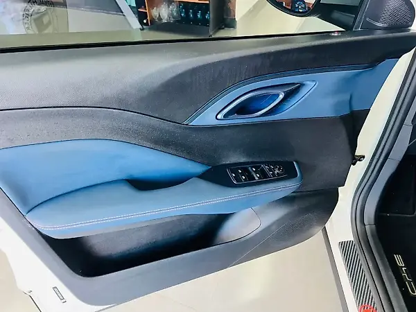 BYD Dolphin Mini - Imagem 13