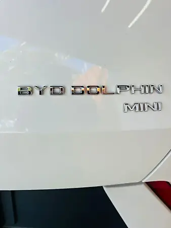 BYD Dolphin Mini - Imagem 15