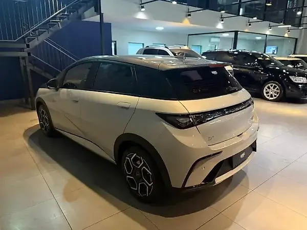 BYD Dolphin Plus - Imagem 8