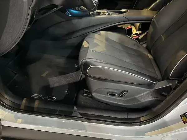 BYD Dolphin Plus - Imagem 10
