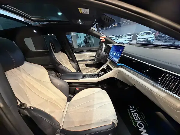 BYD Song Plus - Imagem 11