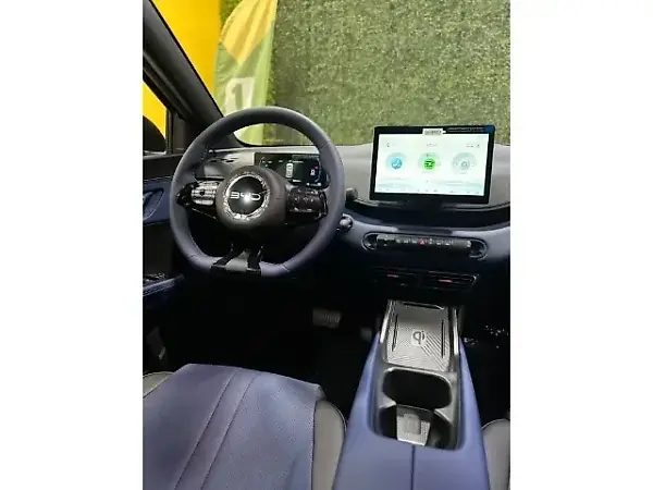 BYD Dolphin Mini - Imagem 8