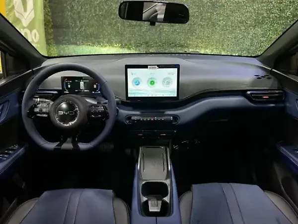 BYD Dolphin Mini - Imagem 10