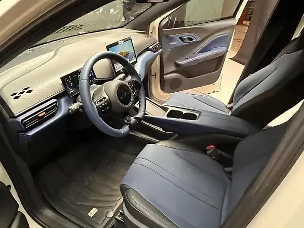 BYD Dolphin Mini - Imagem 11