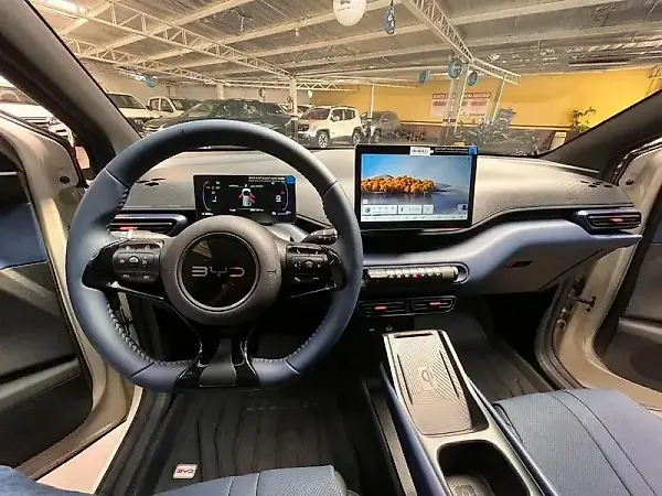 BYD Dolphin Mini - Imagem 12