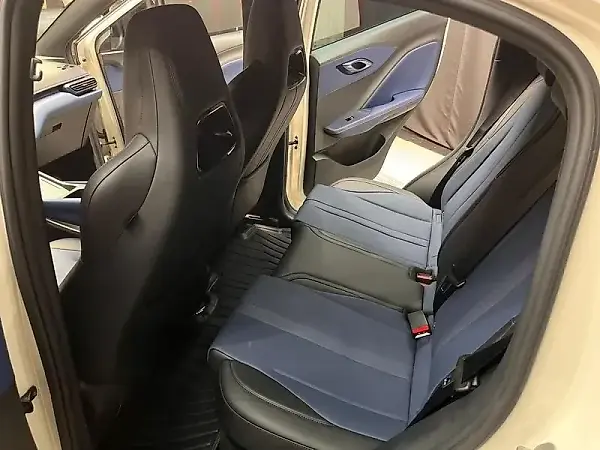 BYD Dolphin Mini - Imagem 13