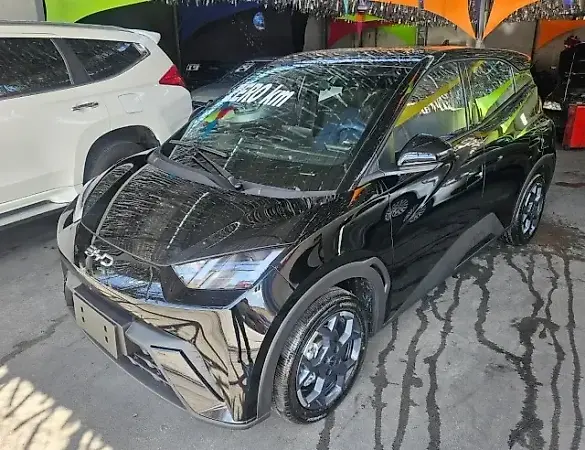 BYD Dolphin Mini - Imagem 1