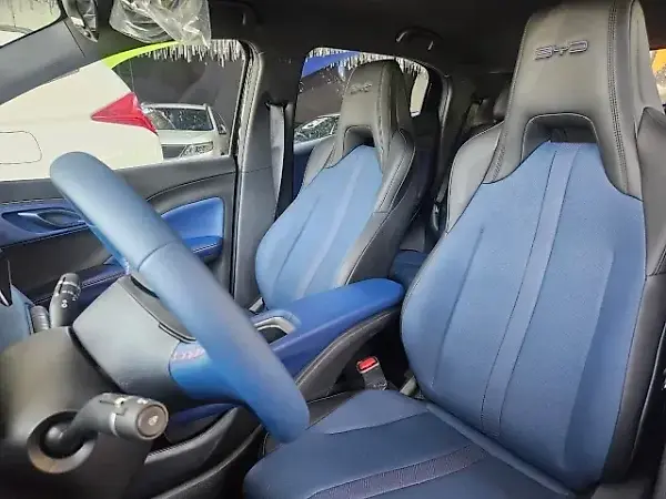 BYD Dolphin Mini - Imagem 8