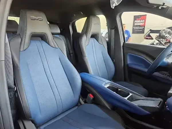 BYD Dolphin Mini - Imagem 10