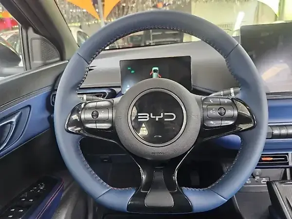 BYD Dolphin Mini - Imagem 13