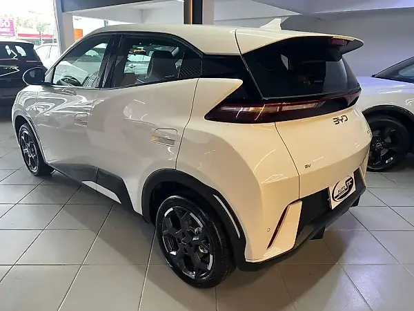 BYD Dolphin Mini - Imagem 6