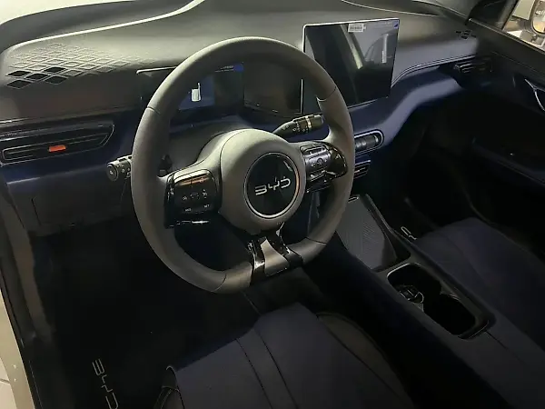 BYD Dolphin Mini - Imagem 10