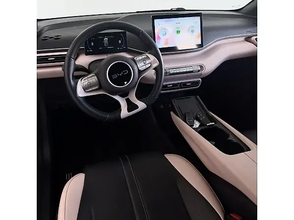BYD Dolphin Mini - Imagem 6