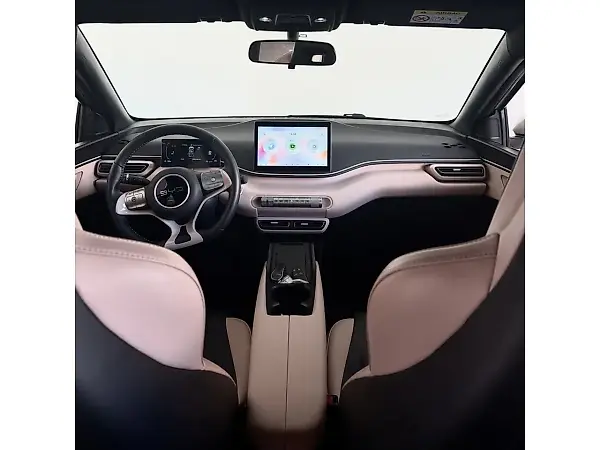 BYD Dolphin Mini - Imagem 9