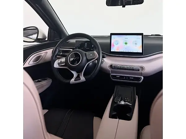 BYD Dolphin Mini - Imagem 10