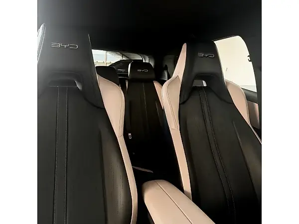 BYD Dolphin Mini - Imagem 11