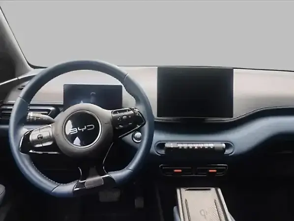 BYD Dolphin Mini - Imagem 8