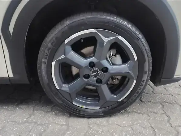 BYD Dolphin Mini - Imagem 14