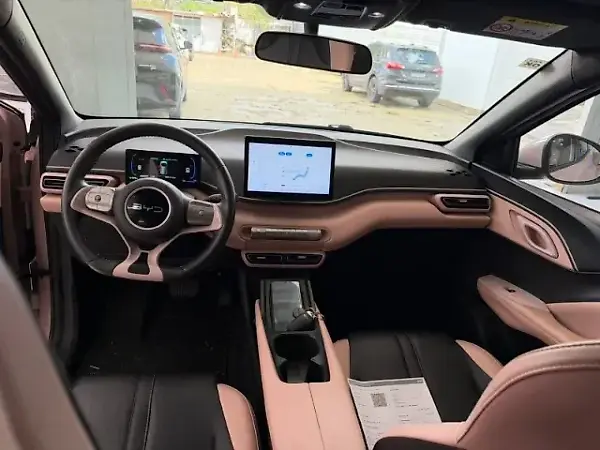 BYD Dolphin Mini - Imagem 7