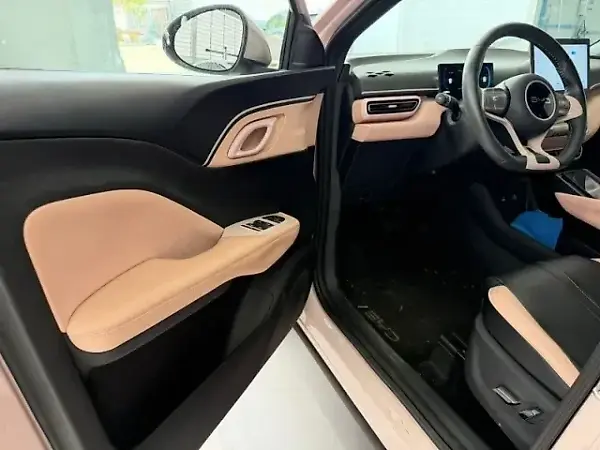 BYD Dolphin Mini - Imagem 8