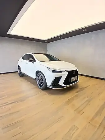 Lexus Nx - Imagem 1