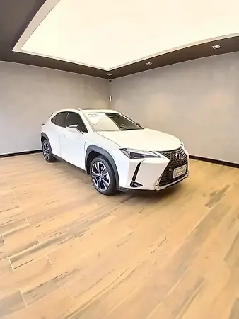 Lexus Ux 300e - Imagem 1