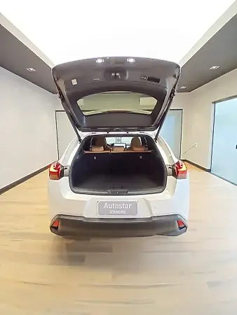 Lexus Ux 300e - Imagem 6