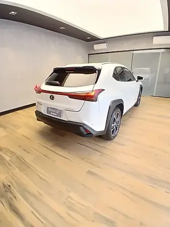 Lexus Ux 300e - Imagem 7