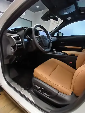Lexus Ux 300e - Imagem 20