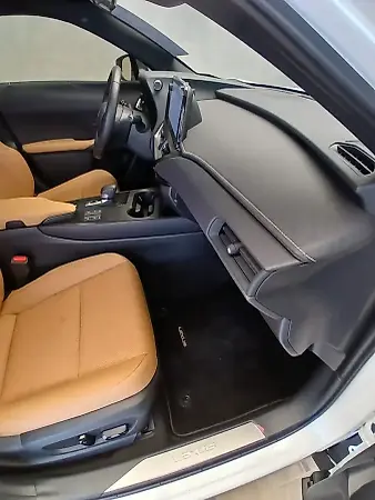 Lexus Ux 300e - Imagem 19