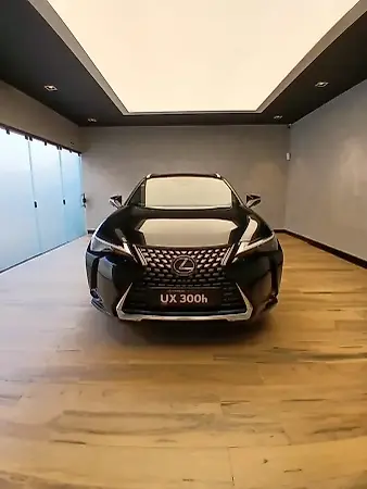 Lexus Ux 300e - Imagem 2