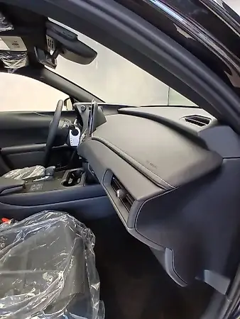 Lexus Ux 300e - Imagem 19