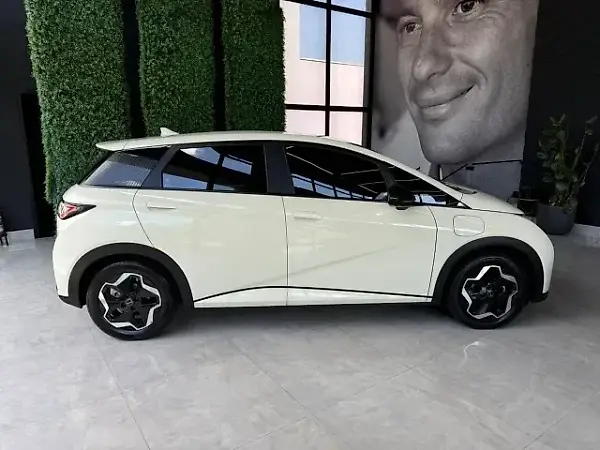 BYD Dolphin - Imagem 9