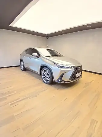 Lexus Nx - Imagem 1