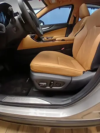 Lexus Nx - Imagem 10