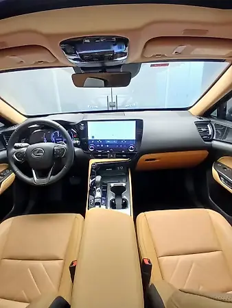 Lexus Nx - Imagem 13