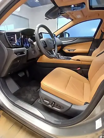 Lexus Nx - Imagem 17