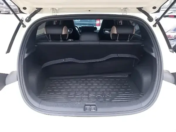 BYD Dolphin - Imagem 12
