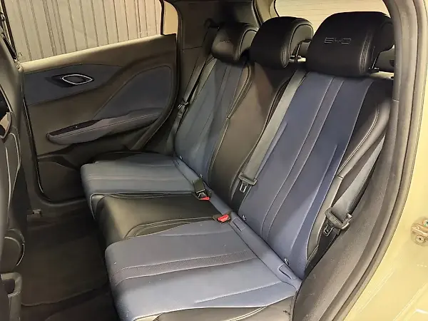 BYD Dolphin Mini - Imagem 16