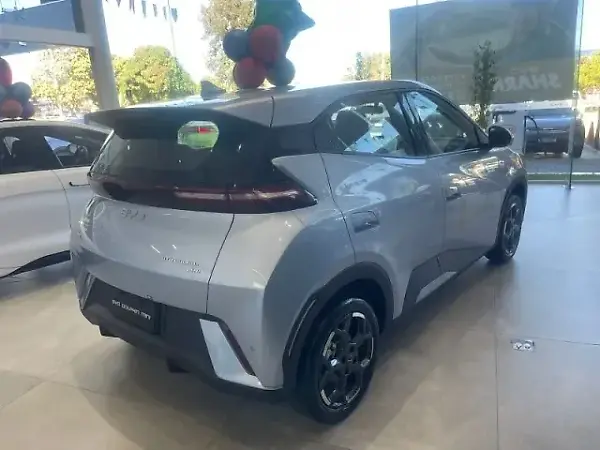 BYD Dolphin Mini - Imagem 4