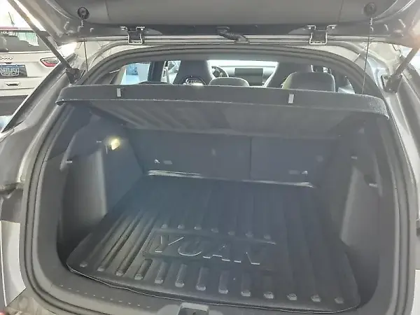 BYD Yuan Plus - Imagem 12