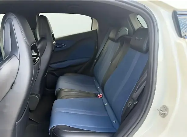 BYD Dolphin Mini - Imagem 11