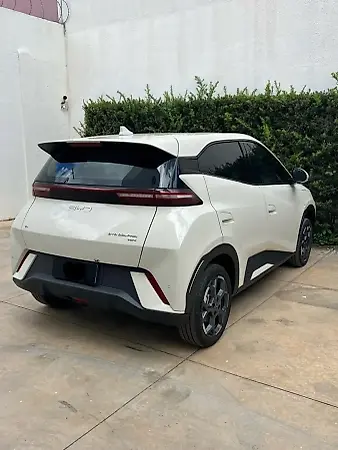 BYD Dolphin Mini - Imagem 11